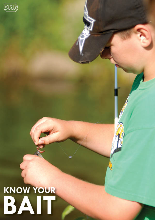 Know which kinds of bait are legal when fishing in Iowa | Iowa DNR